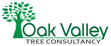 Oak Valley Tree Consultancy — Fully Qualified & Fully Insured